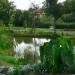 Le Jardin Camifolia à Chemillé (49)