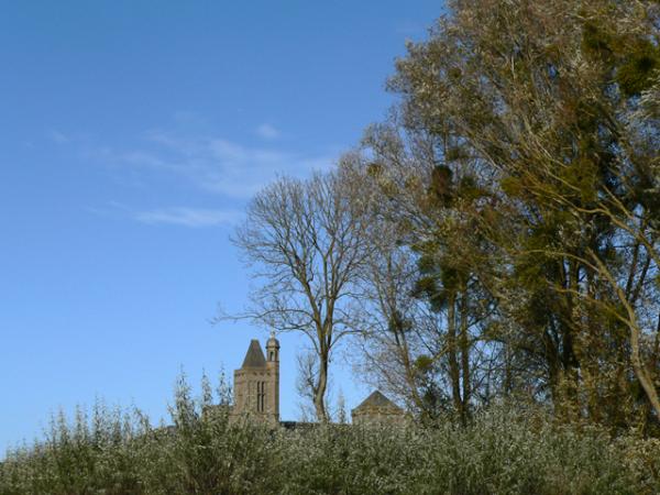 Le clocher de la Cathédrale de DOL de Bretagne