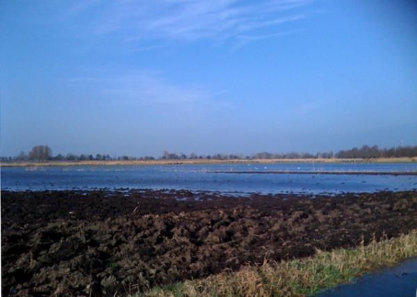 Marais inondé