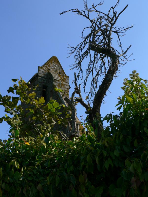 La tour du Bregaint à Broualan (35)