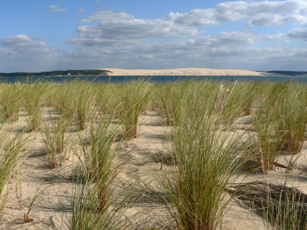 Au loin, la dune du Pyla