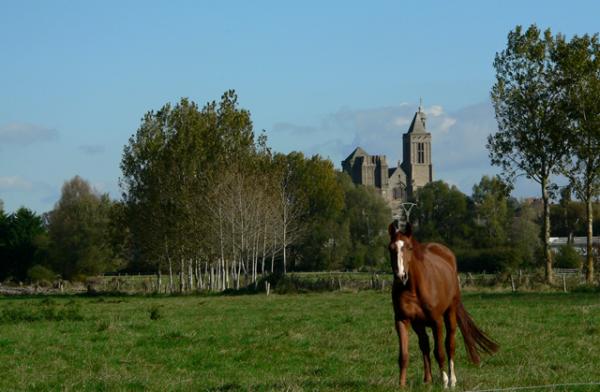 Cathédrale de Dol de Bretagne