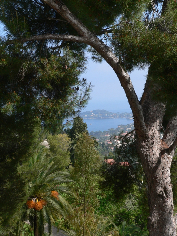 De la corniche entre Nice et Monaco, vue sur St Jean Cap Ferrat
