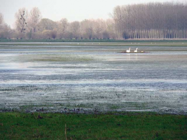 Marais de Sougéal